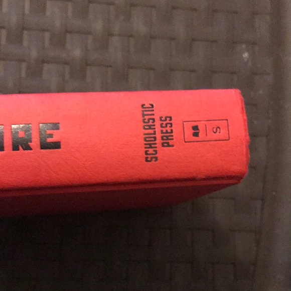 Catching Fire - Picture 4 of 4